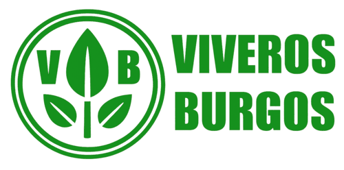 Viveros Burgos en Valencia