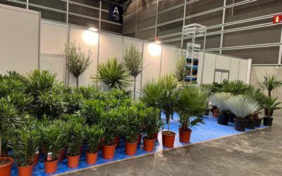 Viveros Burgos en Iberflora 2025: una presencia que no pasó desapercibida