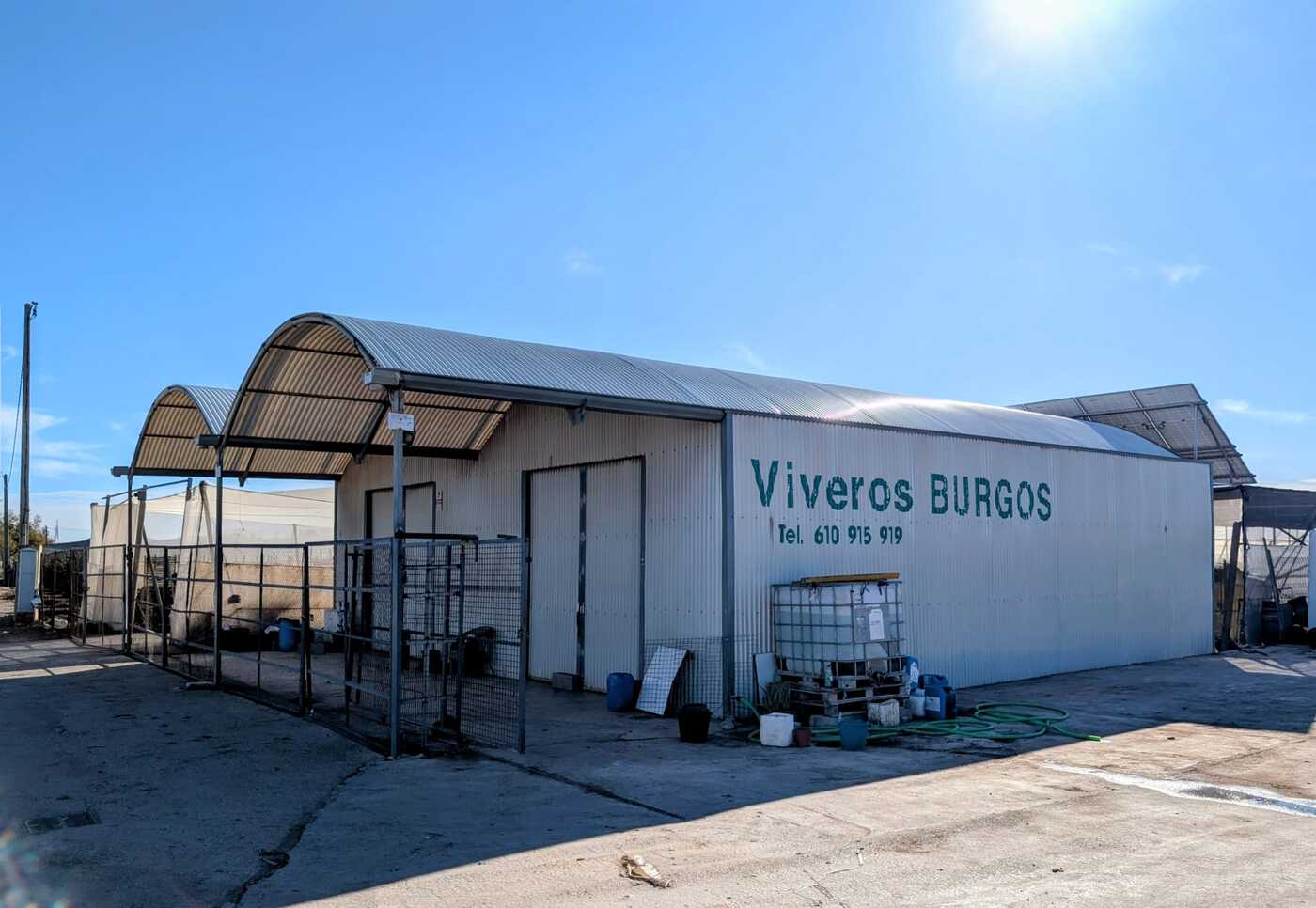 viveros-burgos-valencia-palmeras-olivos-adelfas-yucca-dracenas-palmitos-al-mayor-profesional (3)